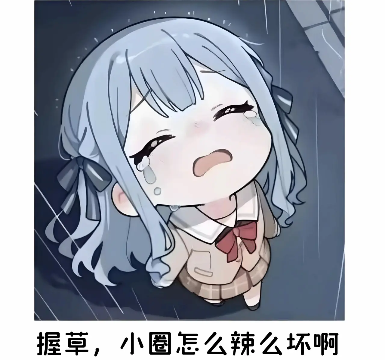 西檬之家字母圈K9是什么? 一