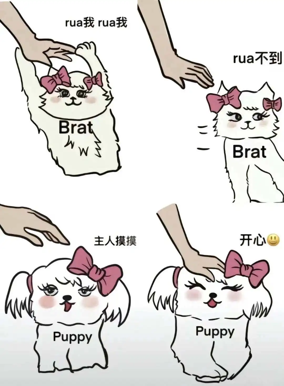西檬之家字母圈brat属性是什么? 一