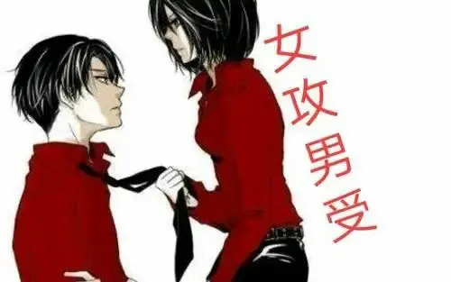 西檬之家s属性是什么? 一