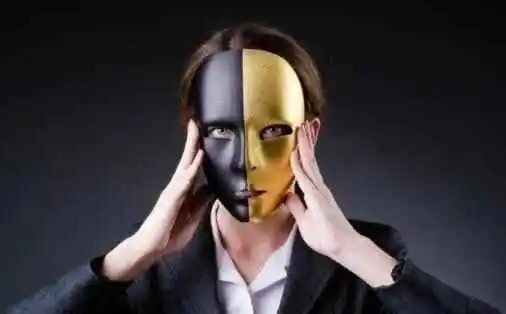 西檬之家K8是什么?字母圈新人必懂的猫系属性解析 一