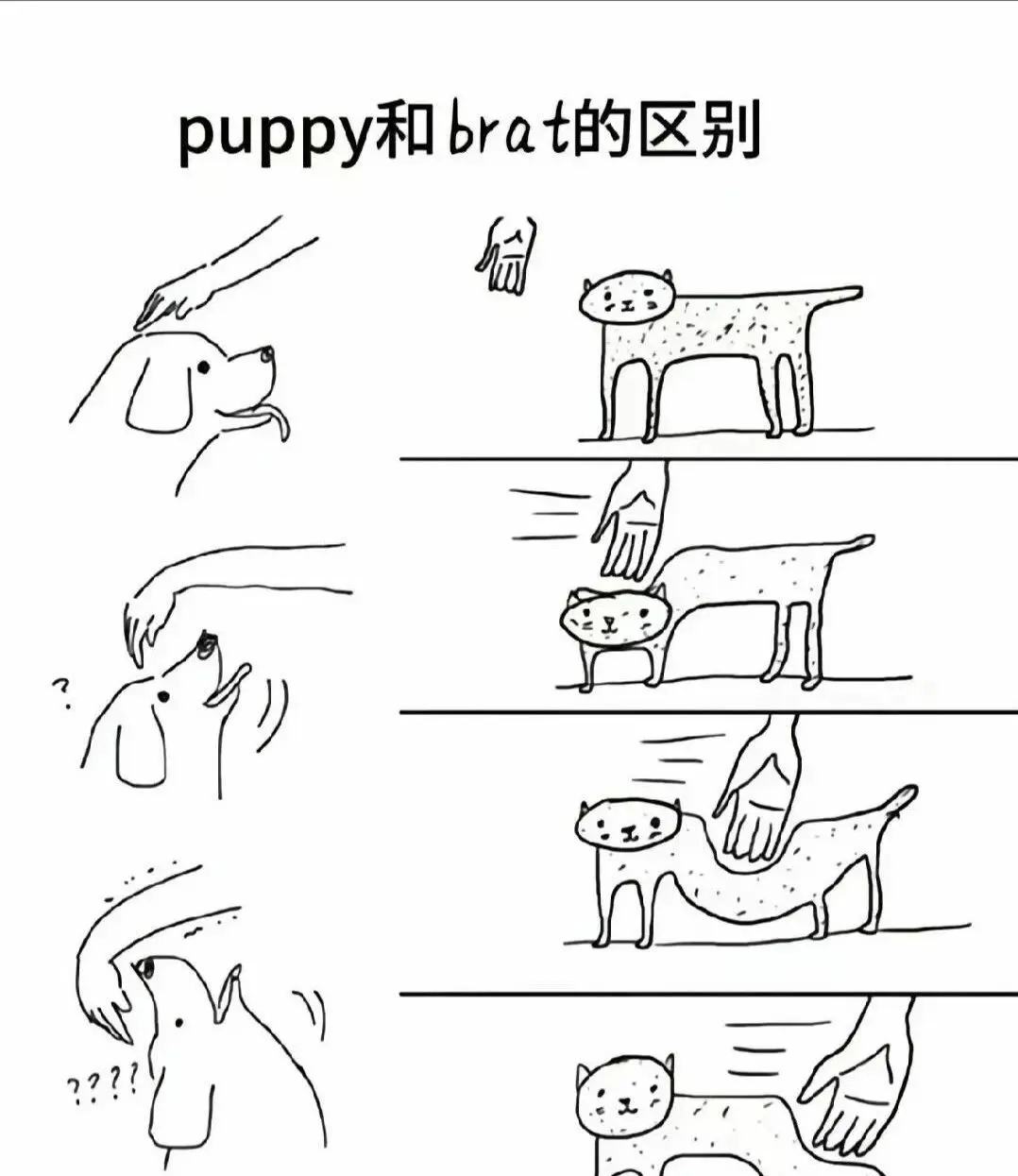 西檬之家BDSM是什么意思? 一