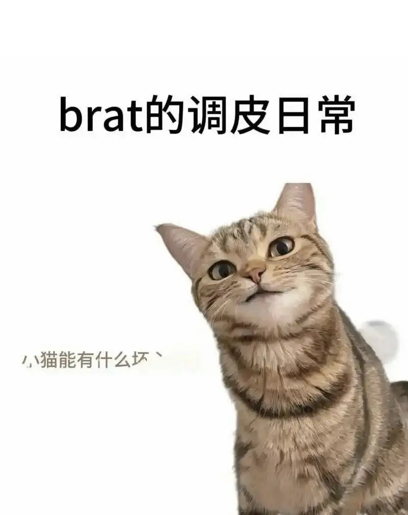 西檬之家sm亚文化新人指南 一