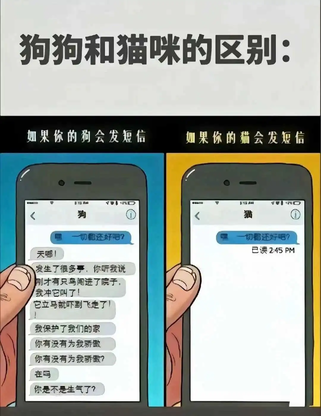 西檬之家ddlg是什么?字母圈新人入圈指南 一