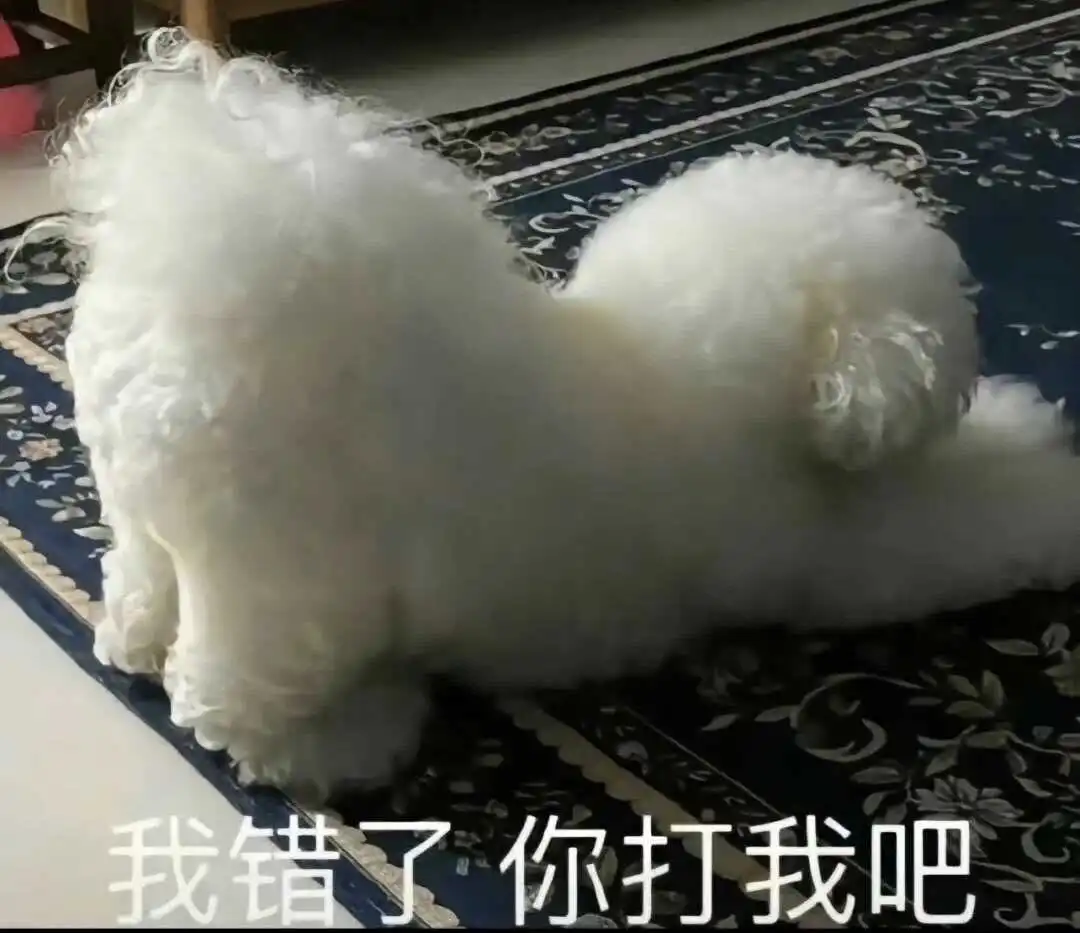 西檬之家sp小圈是什么?和字母圈大圈有什么区别? 一
