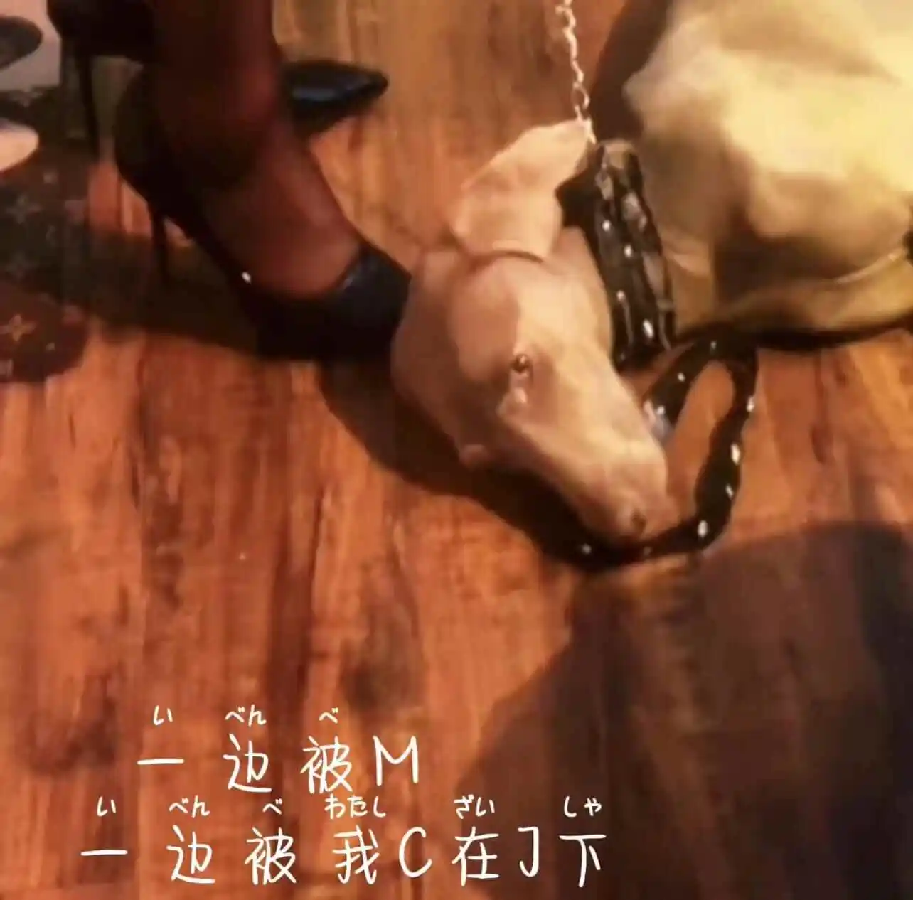 西檬之家字母圈怎么玩?新人必读入圈指南 一