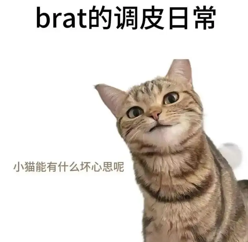西檬之家s倾向是什么意思? 一