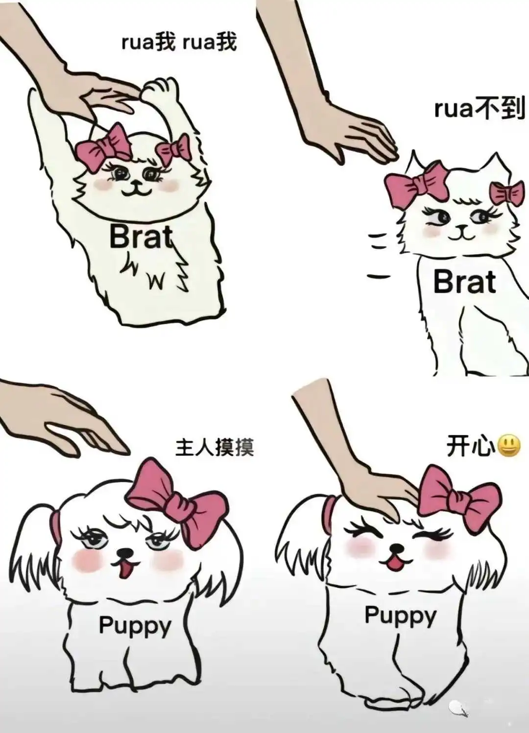 西檬之家斯慕圈是什么?字母圈新人必看 一