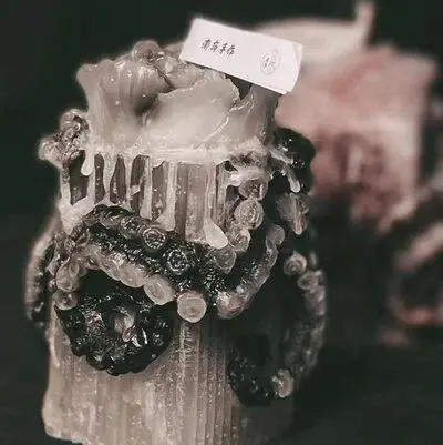西檬之家K9是什么?解读你的宠物属性 一